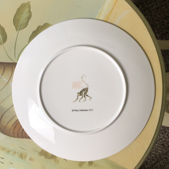 Azuero Earth Project 2012 Plate - Picture 4 of 5